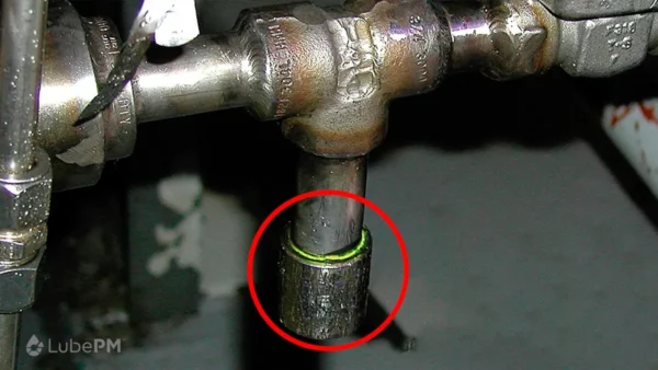 Photo Annotation