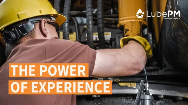 The Power Of Experience